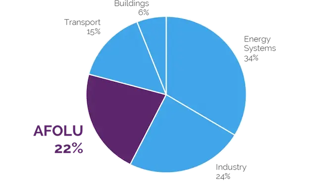 FLAGセクター由来のGHG排出量におけるAFOLUの割合を示すグラフ。AFOLUは22％を占めている