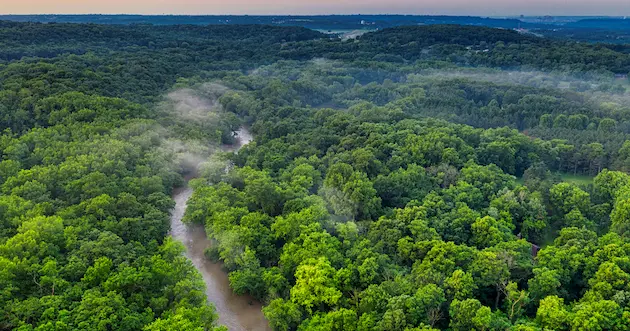 SBTi-FLAG目標の「森林ゼロのコミットメント」は、TNFD開示と整合させることができる