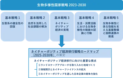 「生物多様性国家戦略2023-2030」と「ネイチャーポジティブ経済移行戦略ロードマップ（2025-2030年）」の関係を示す図。ロードマップ内でランドスケープアプローチが言及されている。