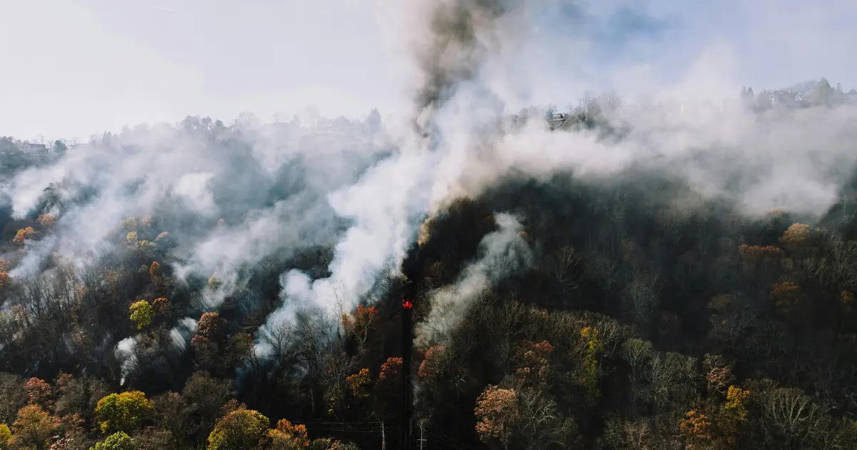 TCFD開示におけるシナリオ分析では、気温がさらに上昇し自然災害が激甚化した場合も想定する。