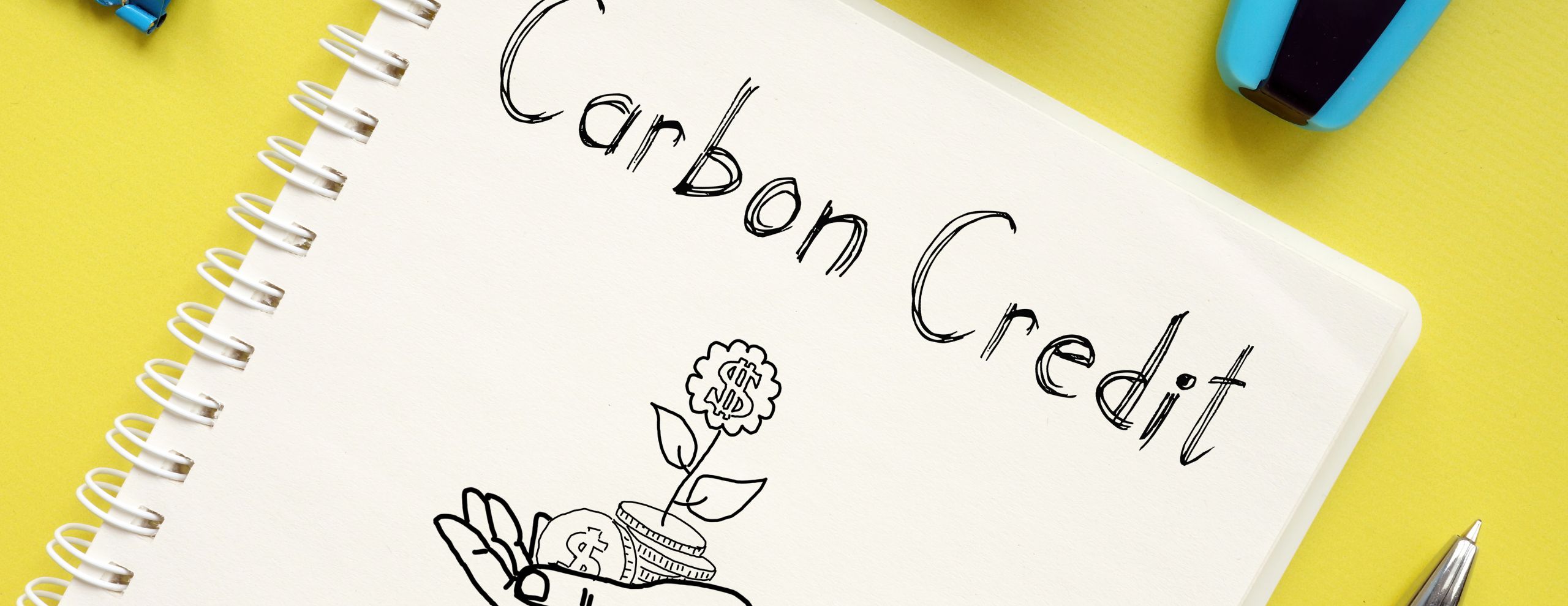 カーボンクレジット市場とは？必要となった背景や仕組み、種類について解説 - サステナビリティNavi